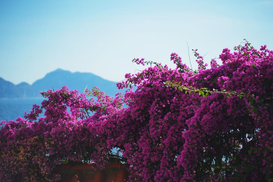 Natural landscape