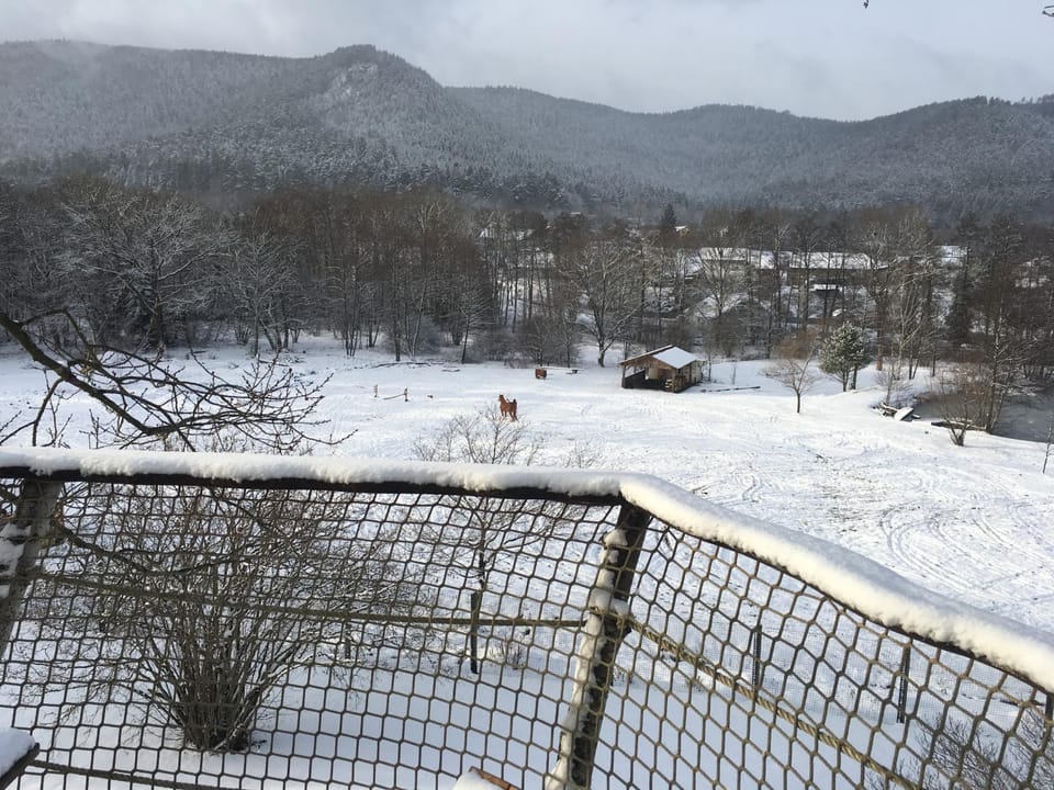 Day, Winter, Children play ground, View (from property/room), Balcony/Terrace, On site, Lake view, Mountain view, River view