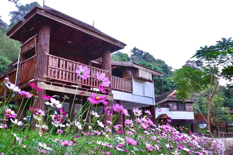Property building, Garden, Garden view