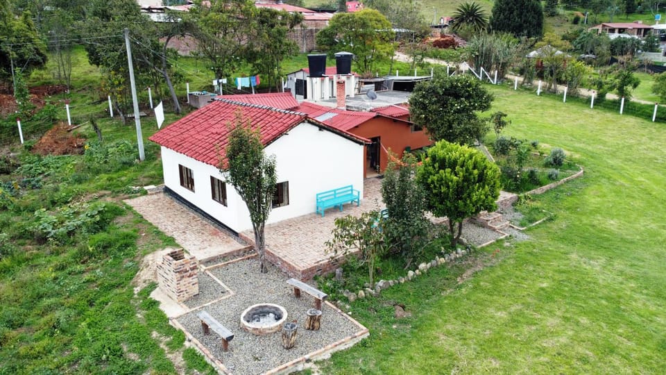 Natural landscape, Bird's eye view, Garden view