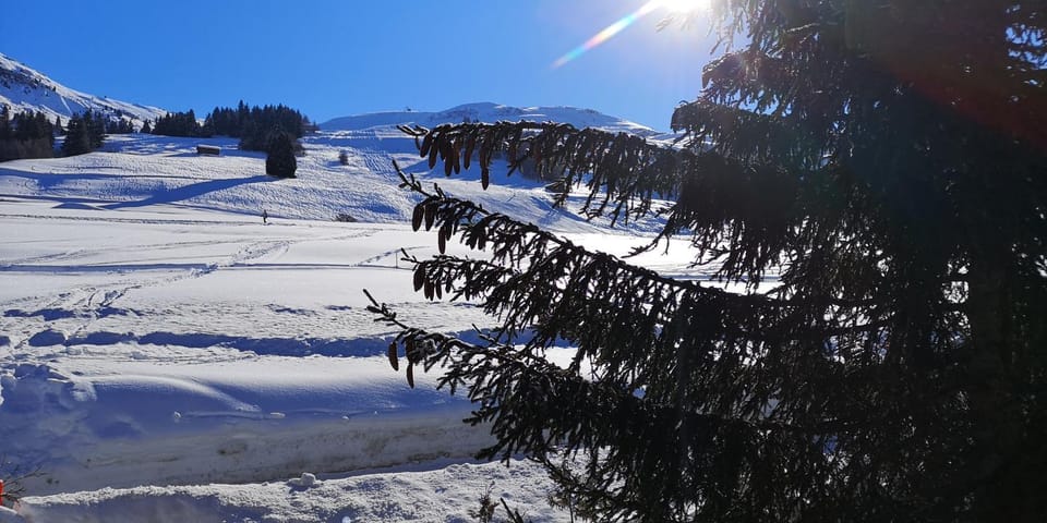 Natural landscape, Winter, View (from property/room), View (from property/room), Hiking
