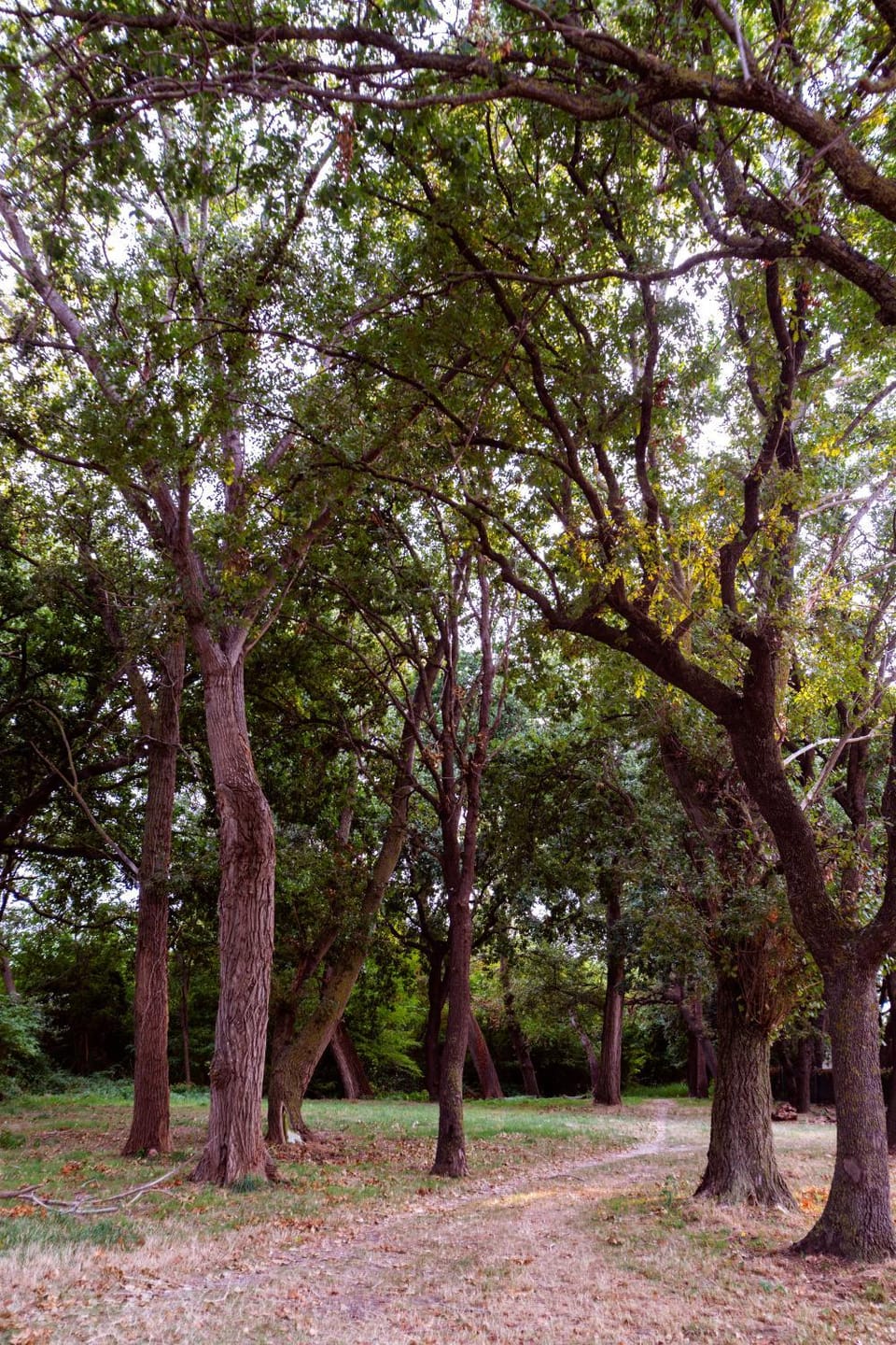 Natural landscape, Garden, Hiking