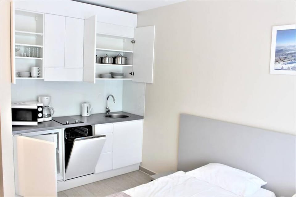 CZARNA GÓRA BIAŁA WODA SIENNA Apartment STUBAI 18 Apartment in Lower Silesian Voivodeship
