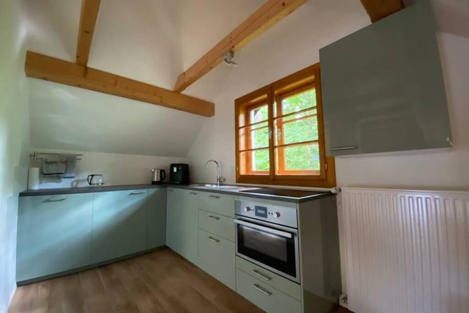 Ferienhaus Blommers Apartment in Upper Austria