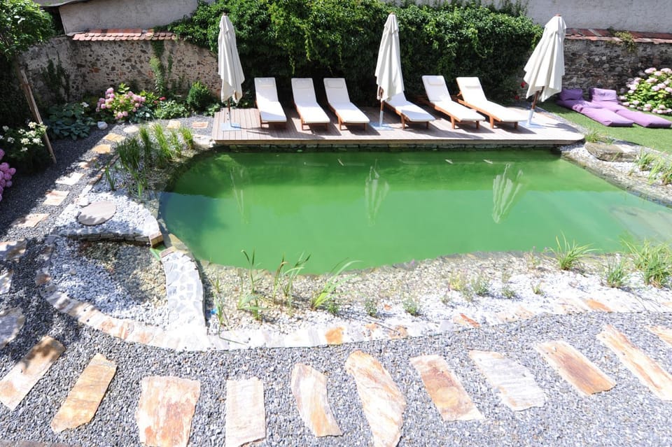 Garden, Pool view, Swimming pool