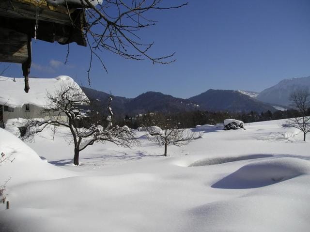 Höglhof inkl. Chiemgaukarte Apartment in Ruhpolding