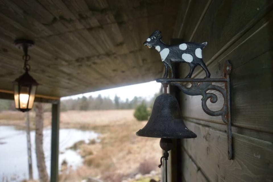 hut in the mid. of nowhere + priv pond+3 ha Chalet in Pomeranian Voivodeship