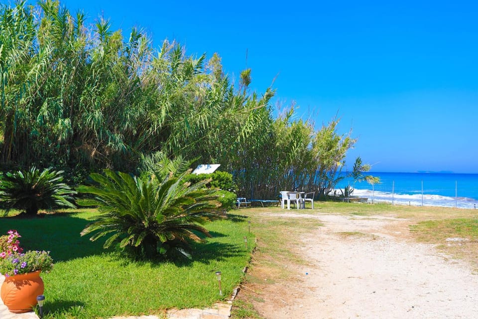 Garden, Other, Beach