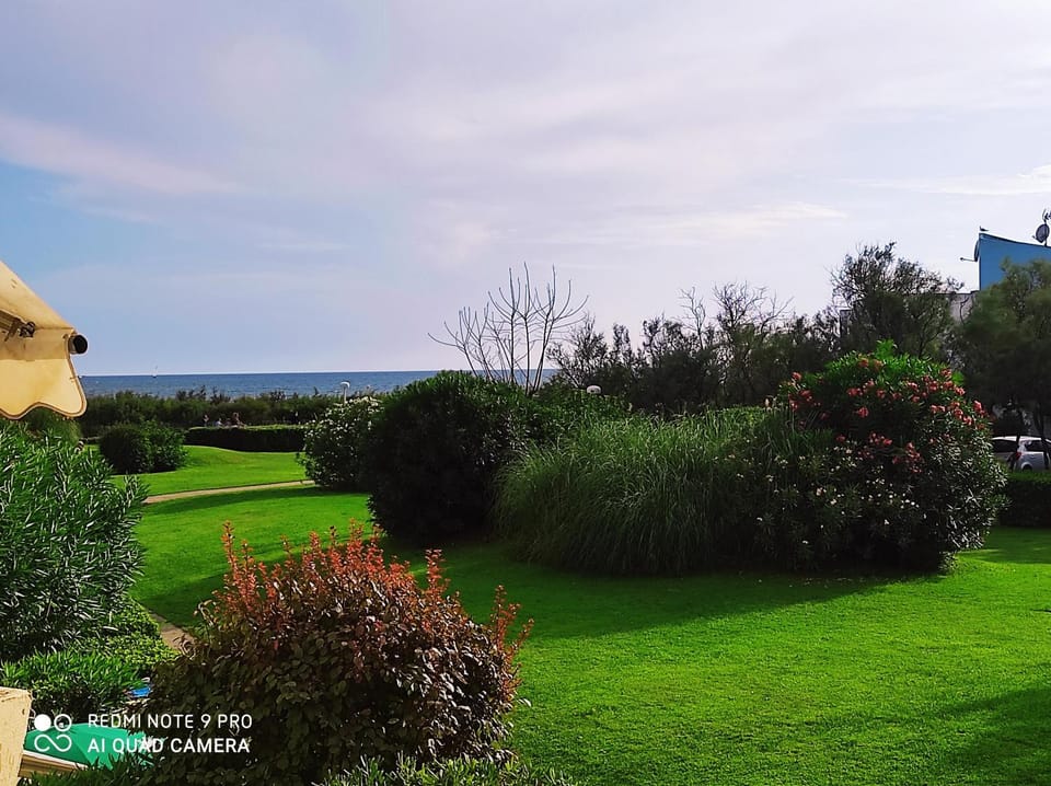 Garden view