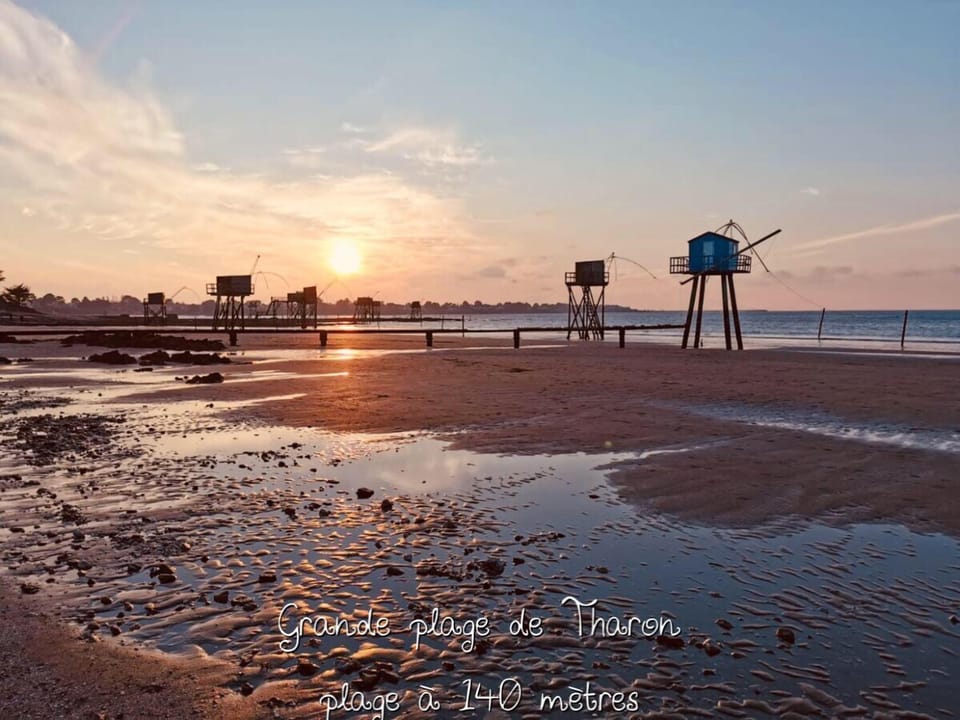 Off site, Natural landscape, Beach, Windsurfing, On site