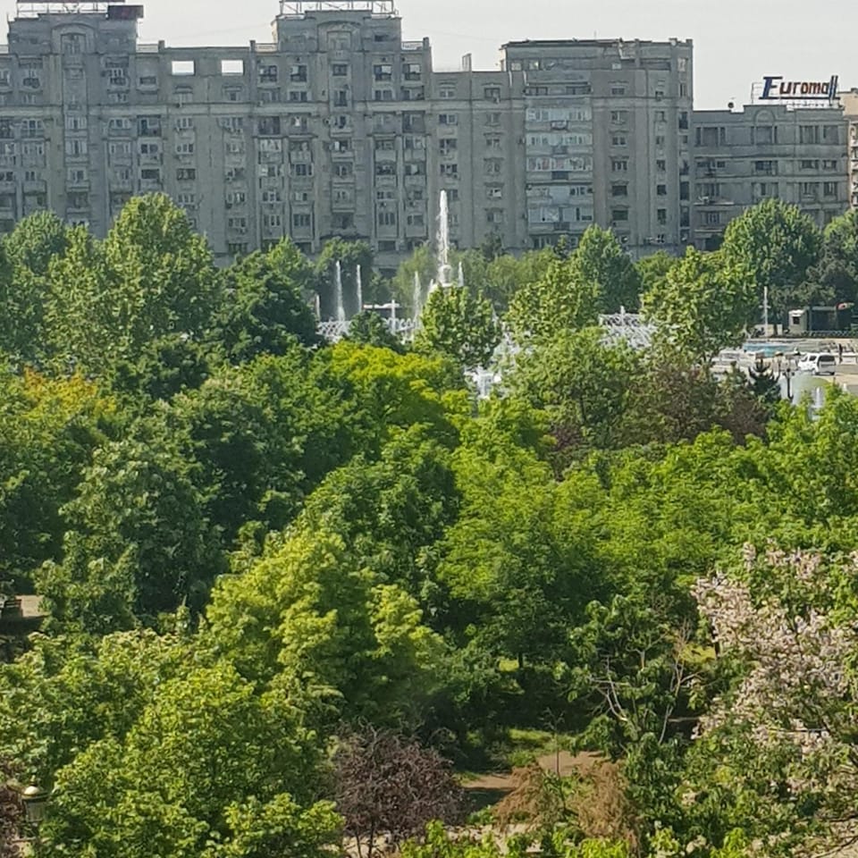Nearby landmark, Street view