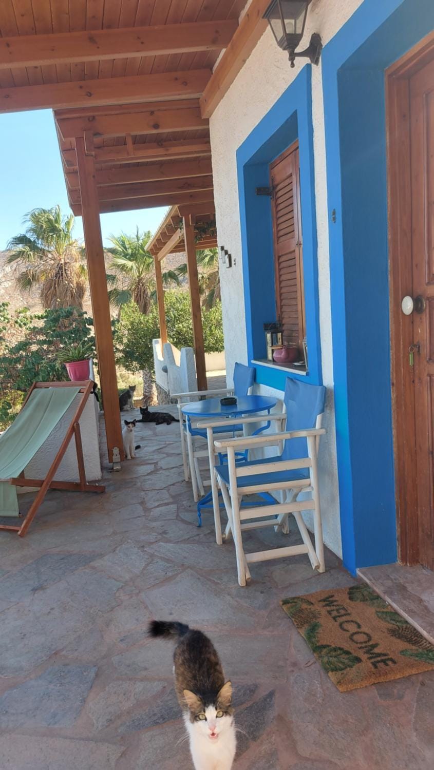Georgia's Studio Apartment in Lasithi