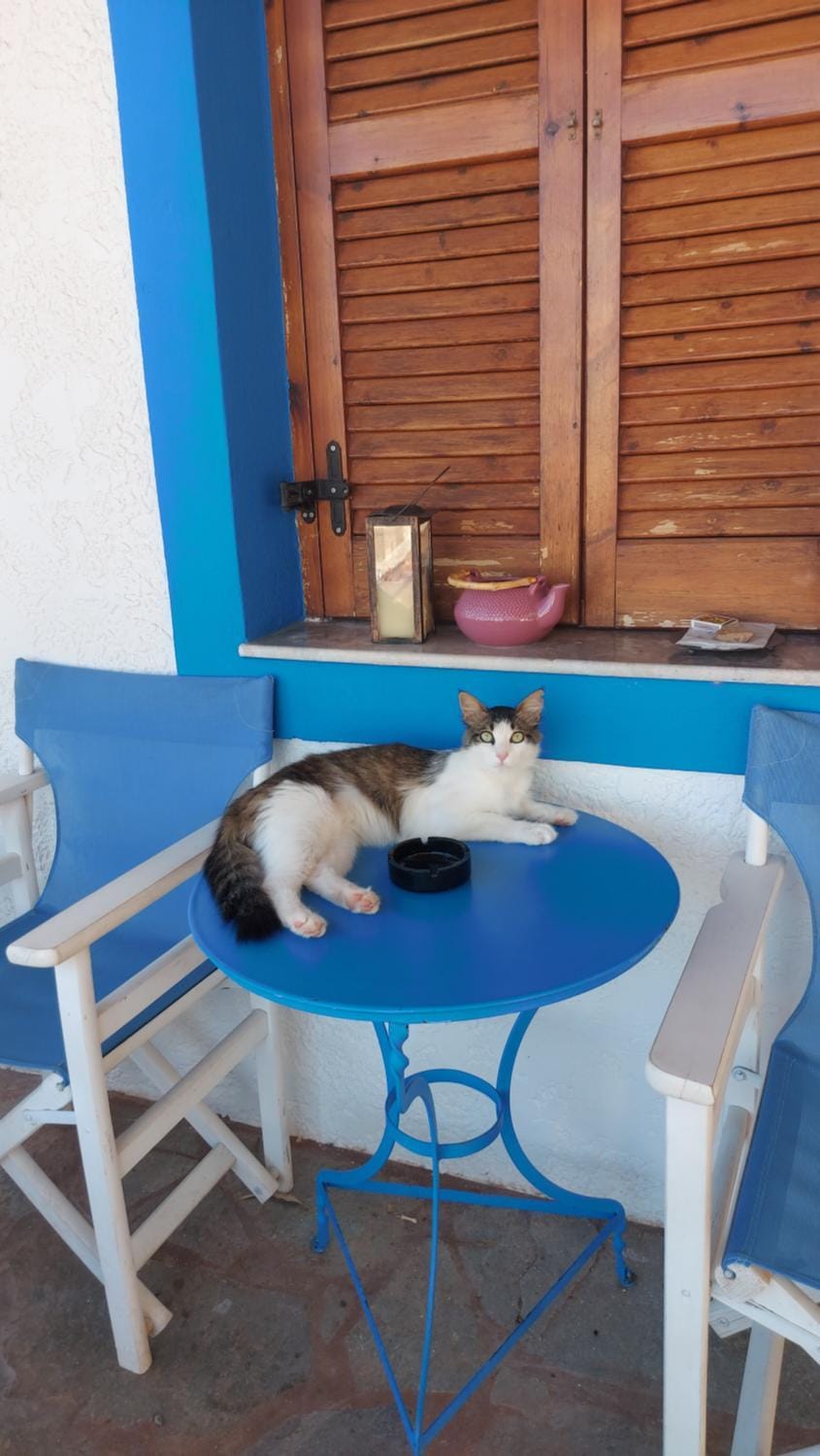 Georgia's Studio Apartment in Lasithi