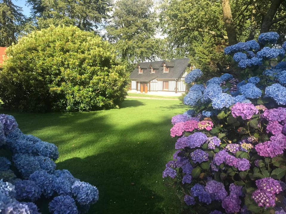 Garden, Garden