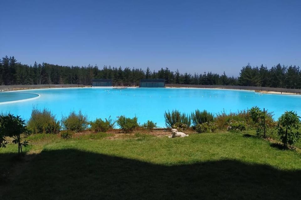 Garden, Lake view