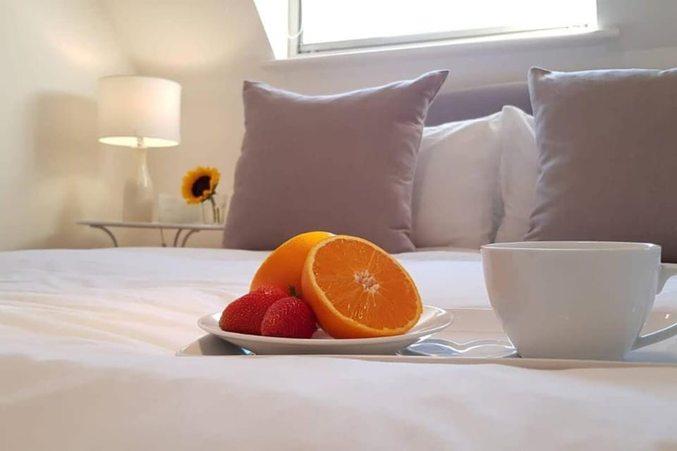 Modern Apartment in the Heart of Oxford with Secure Underground Parking Apartment in Oxford