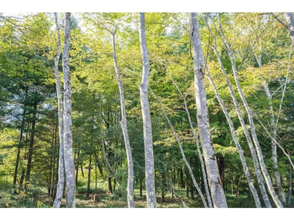 Fuji Fabric stay - Vacation STAY 19980v House in Shizuoka Prefecture