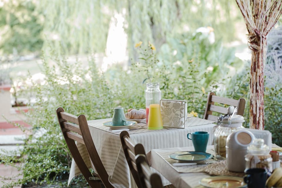 Garden, Meals, Breakfast, Buffet breakfast, Drinks