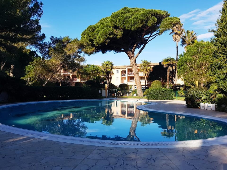 Pool view, Swimming pool, Swimming pool