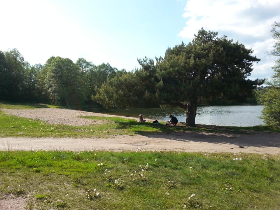 Lake view