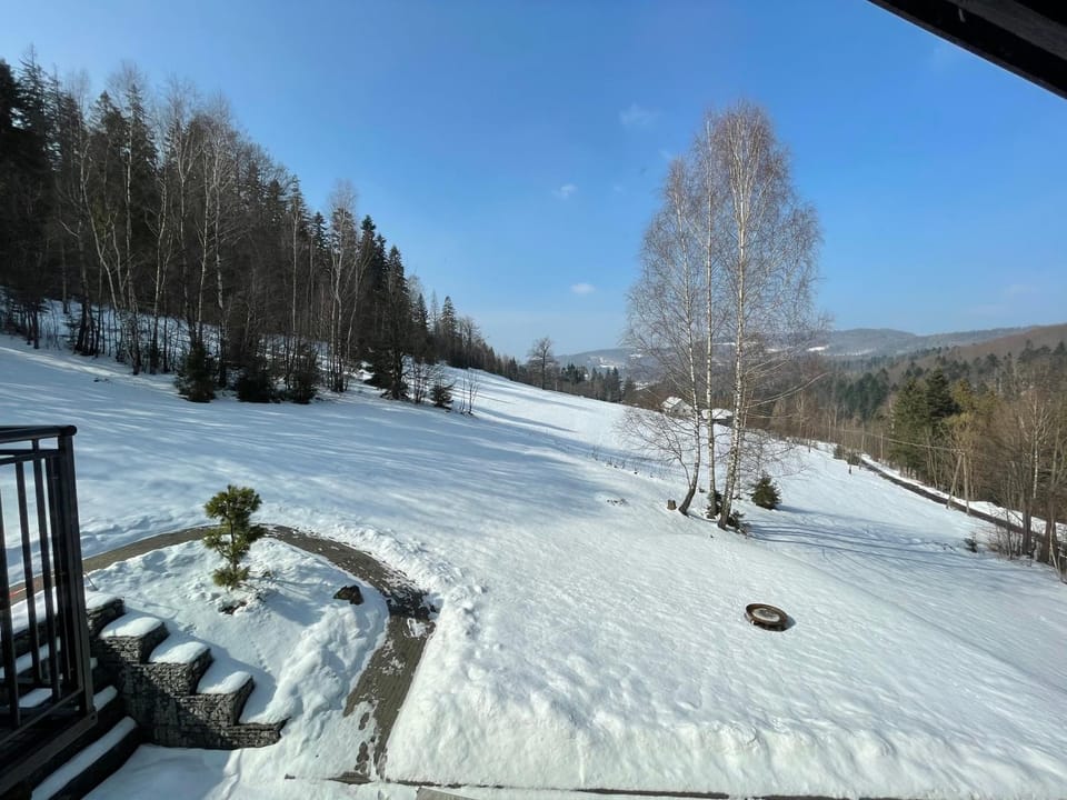 Winter, Garden view