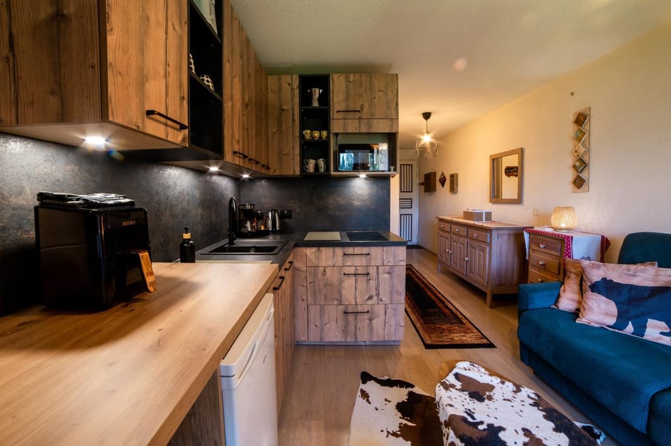 Petit cocon plein sud vue montagnes Lesclesdenicole Apartment in Barcelonnette