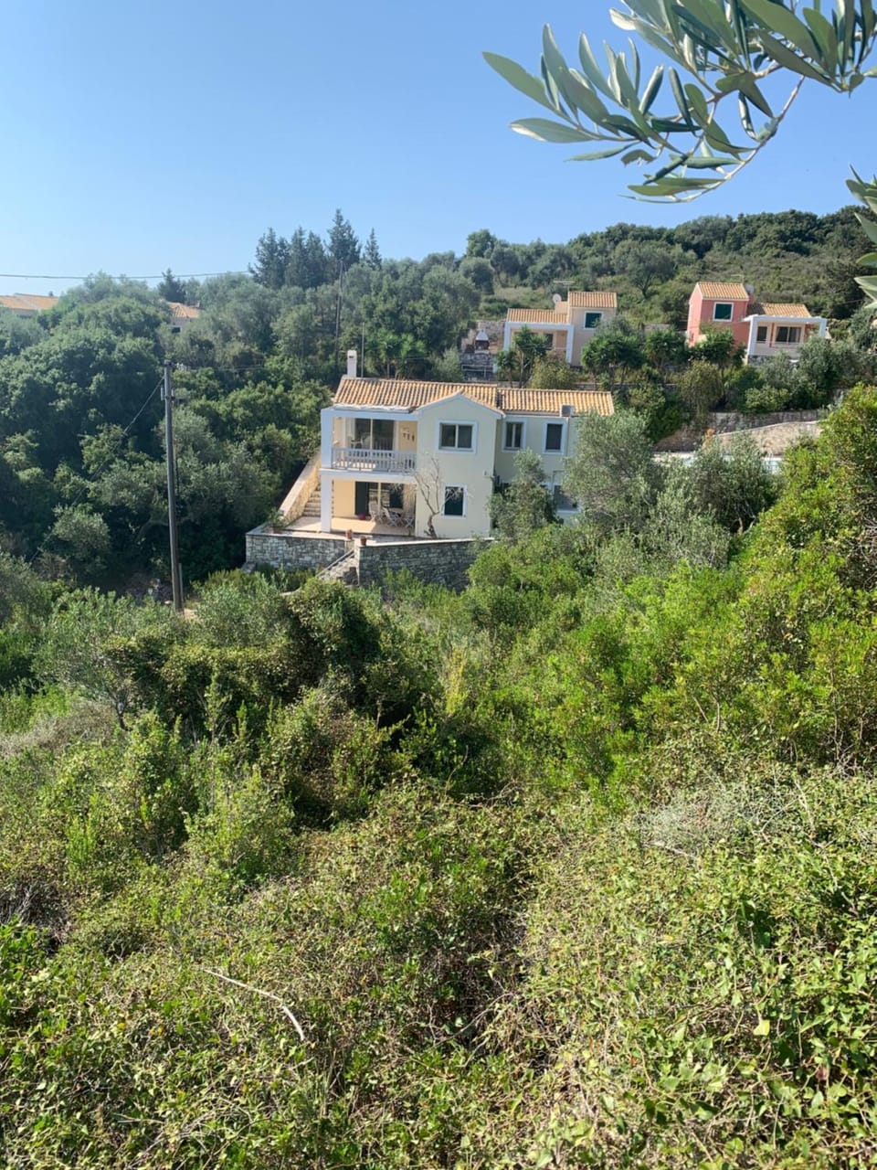 Property building, Neighbourhood