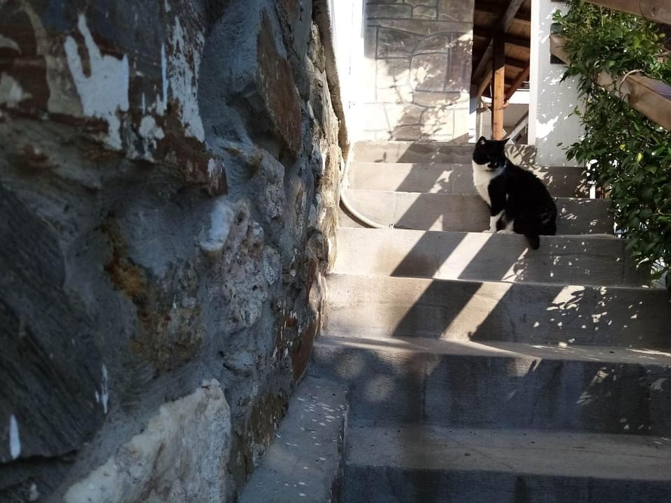 Petrino1880 sea-vacation apartment in Chalkidiki Apartment in Halkidiki