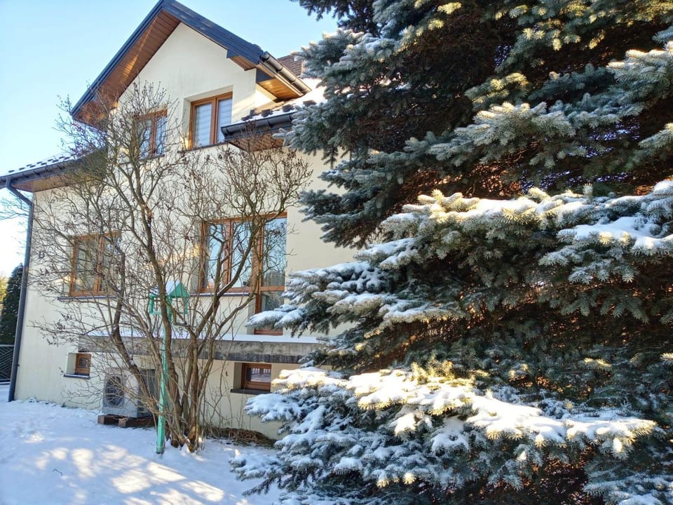 Property building, Winter