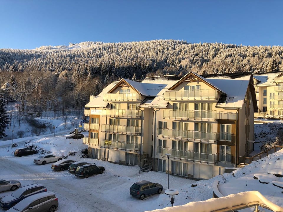 Day, Winter, Mountain view, Parking