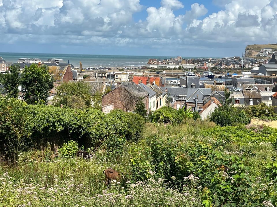 View (from property/room)