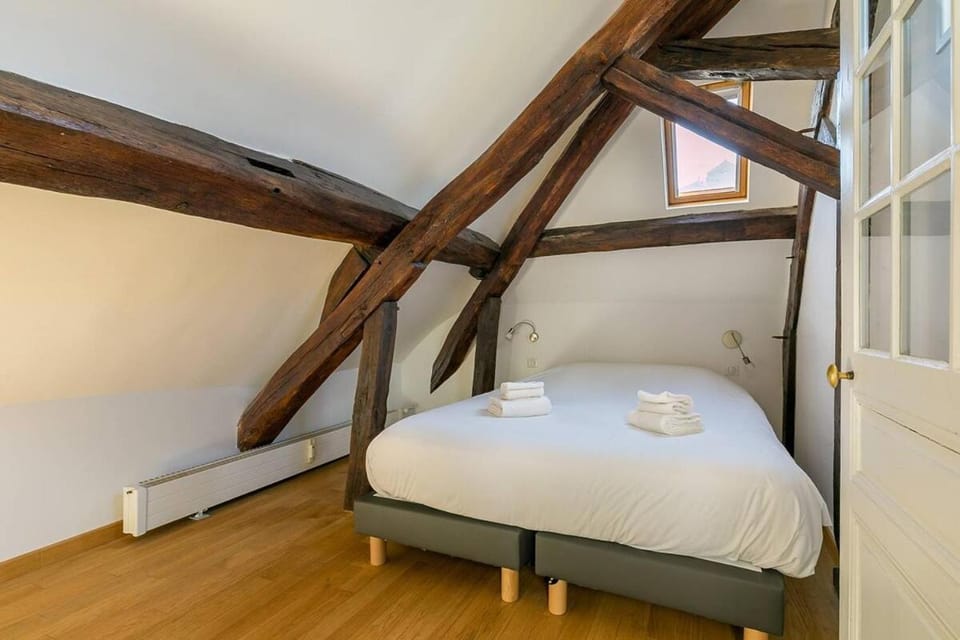 Le Mucie*****LOFT au centre ville de Dijon Apartment in Dijon