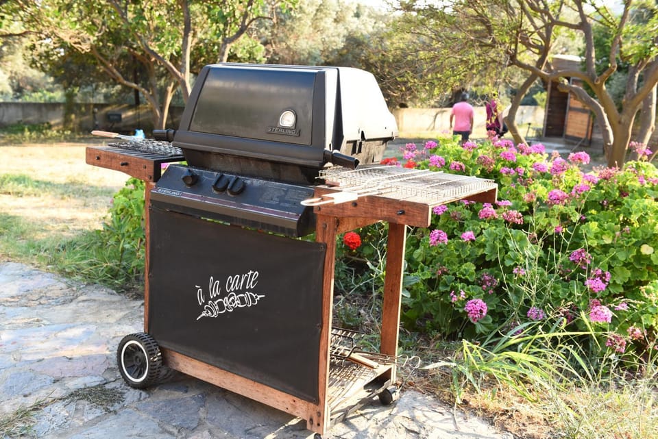 Spring, Day, Summer, BBQ facilities, Garden, Evening entertainment, On site, Garden view, Sunset