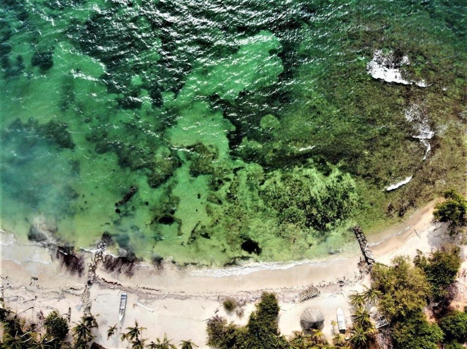 Beach, Beach