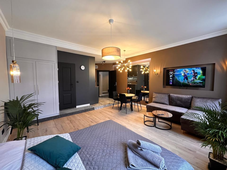 Bed, TV and multimedia, Living room, Photo of the whole room, Seating area, Dining area, Evening entertainment, Bedroom, wardrobe