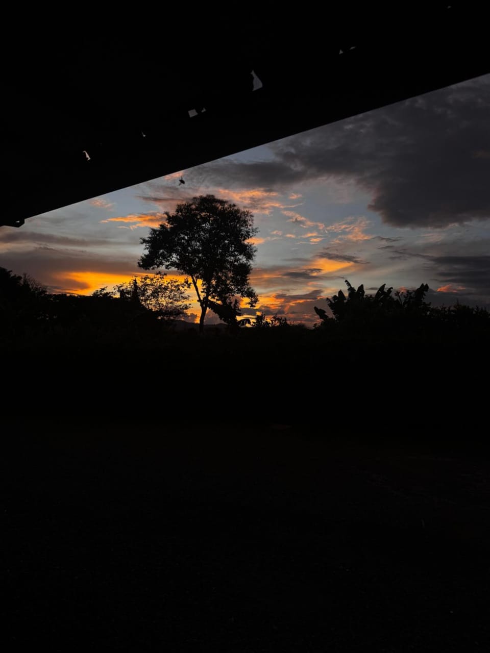 Natural landscape, Sunset