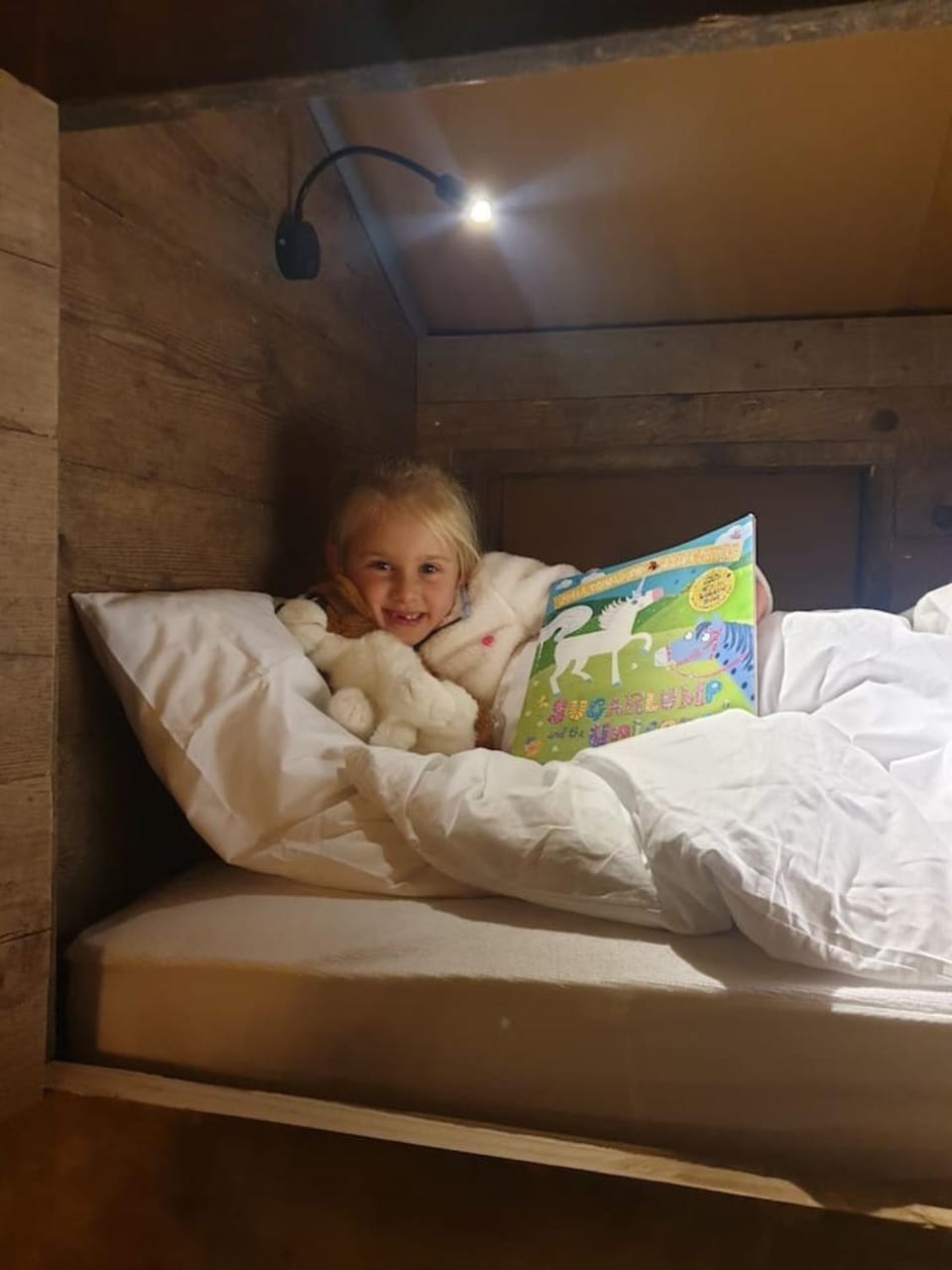 Luxury Safari Lodge-Sleeps 4 6-Deer Park-Dogs Ok House in Mid Devon District