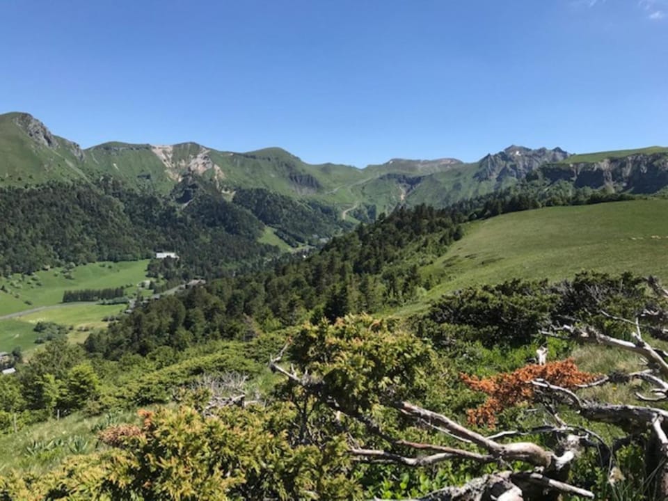 Appartement T2 au Mont-Dore, 4 pers, vue montagne - FR-1-608-108 Apartment in Auvergne-Rhône-Alpes