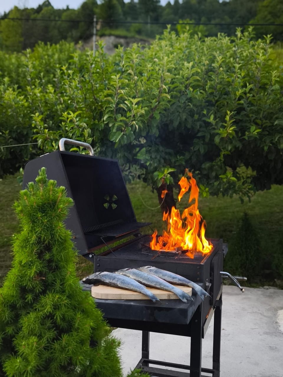 Holiday Home Lino House in Primorje-Gorski Kotar County