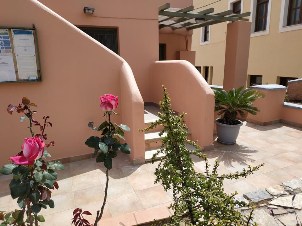 Property building, Garden view