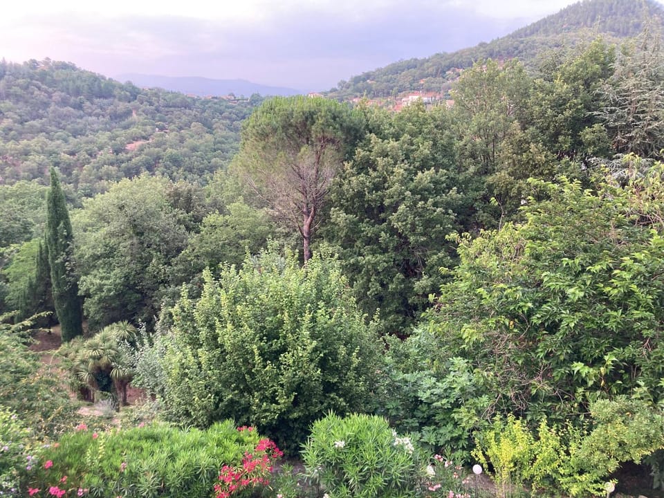 Garden view, Garden view