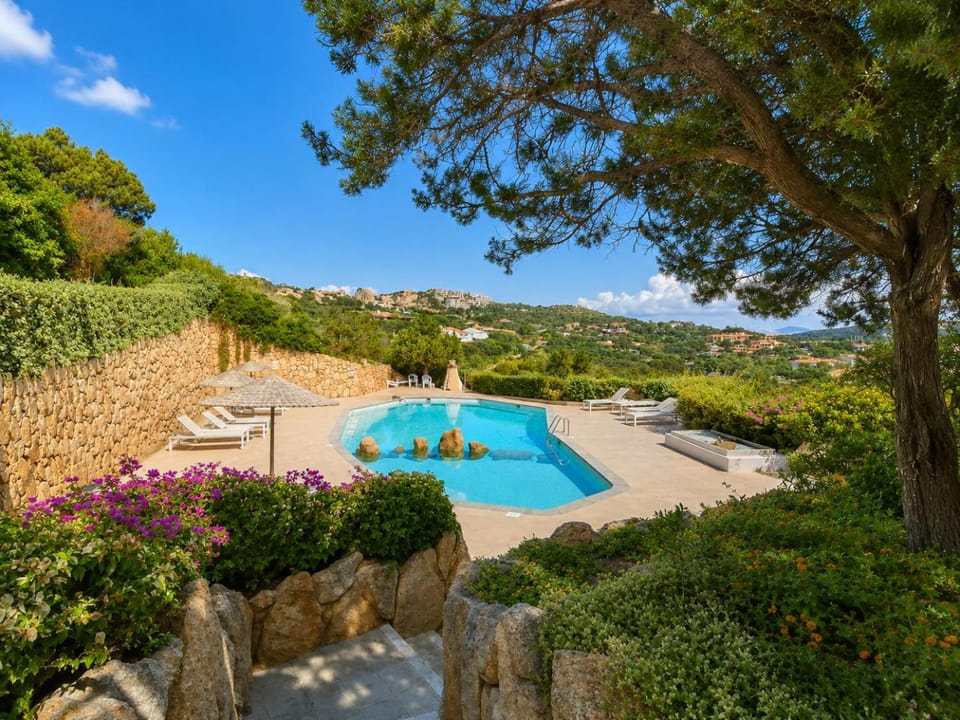 Natural landscape, Pool view, Swimming pool, sunbed