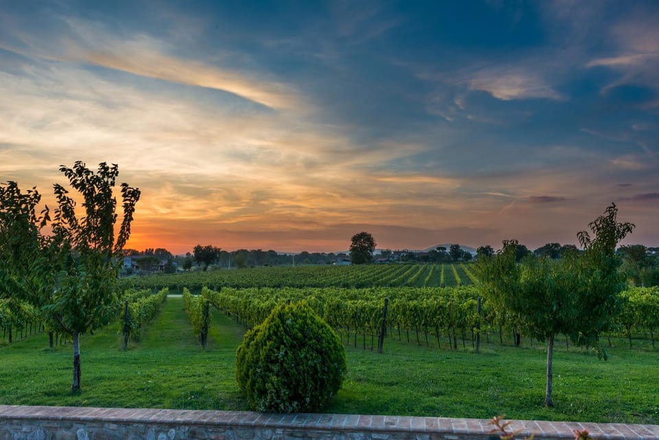 Natural landscape, Garden view
