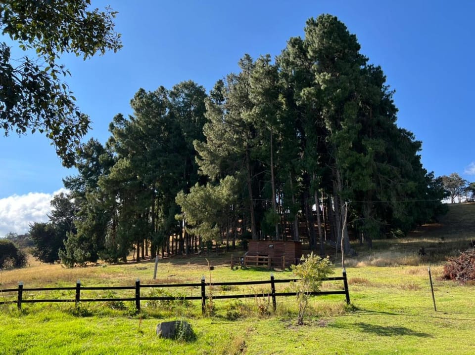 Natural landscape, Garden