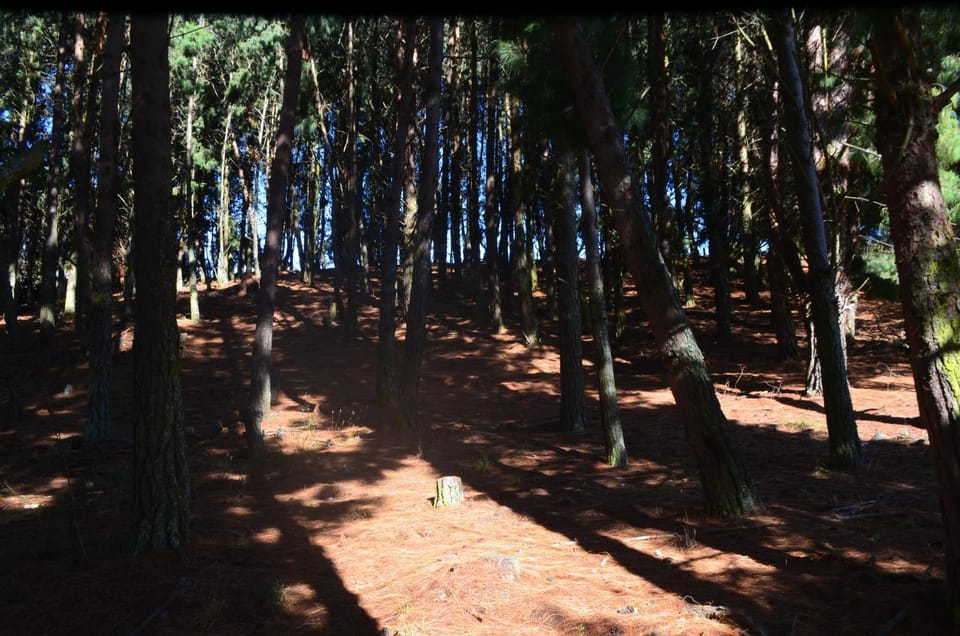Off site