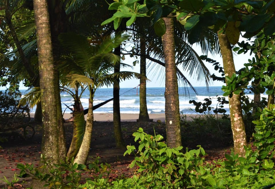 Natural landscape, Beach, Sea view