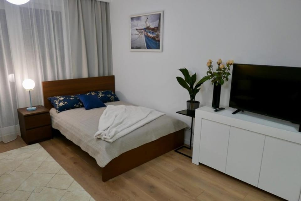 Communal lounge/ TV room, Bed, TV and multimedia, Photo of the whole room, Bedroom