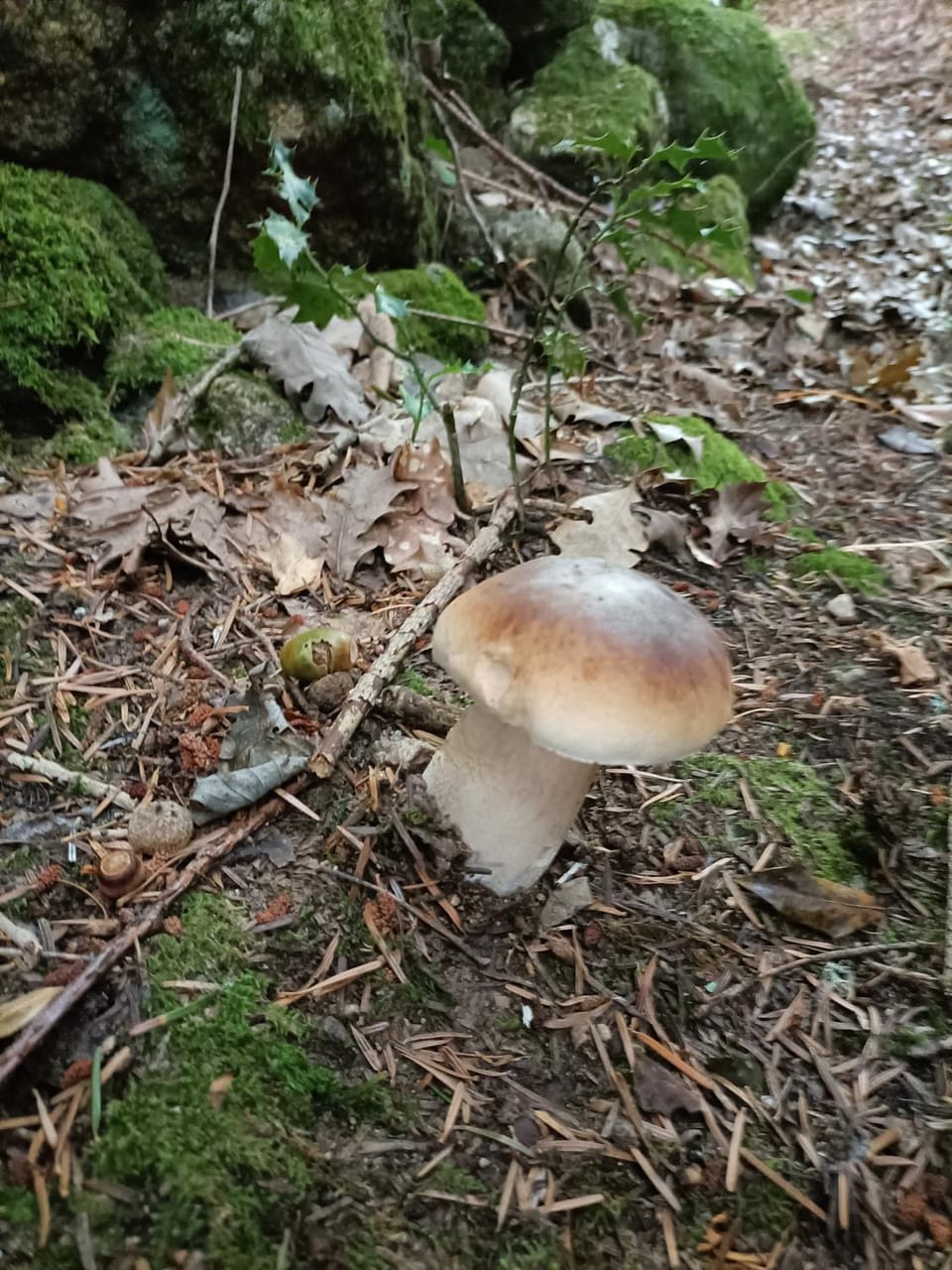 Autumn