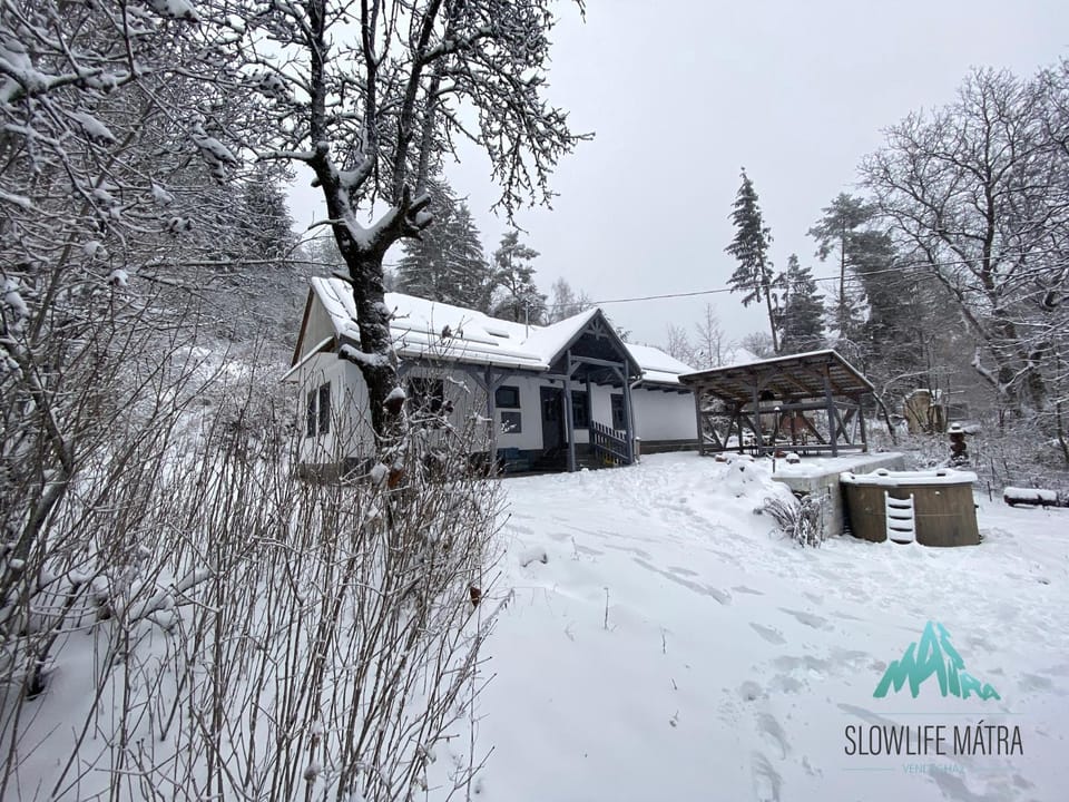 Property building, Winter