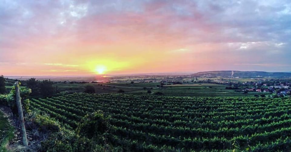 Natural landscape, Seasons, Sunset